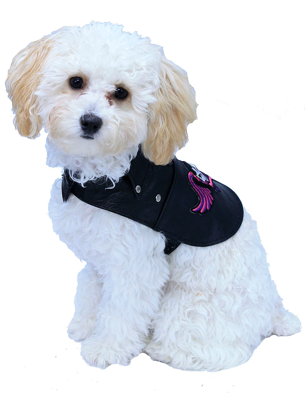 Doggie Leather Biker Jacket - Genuine Leather Made in USA #DC2401RPK