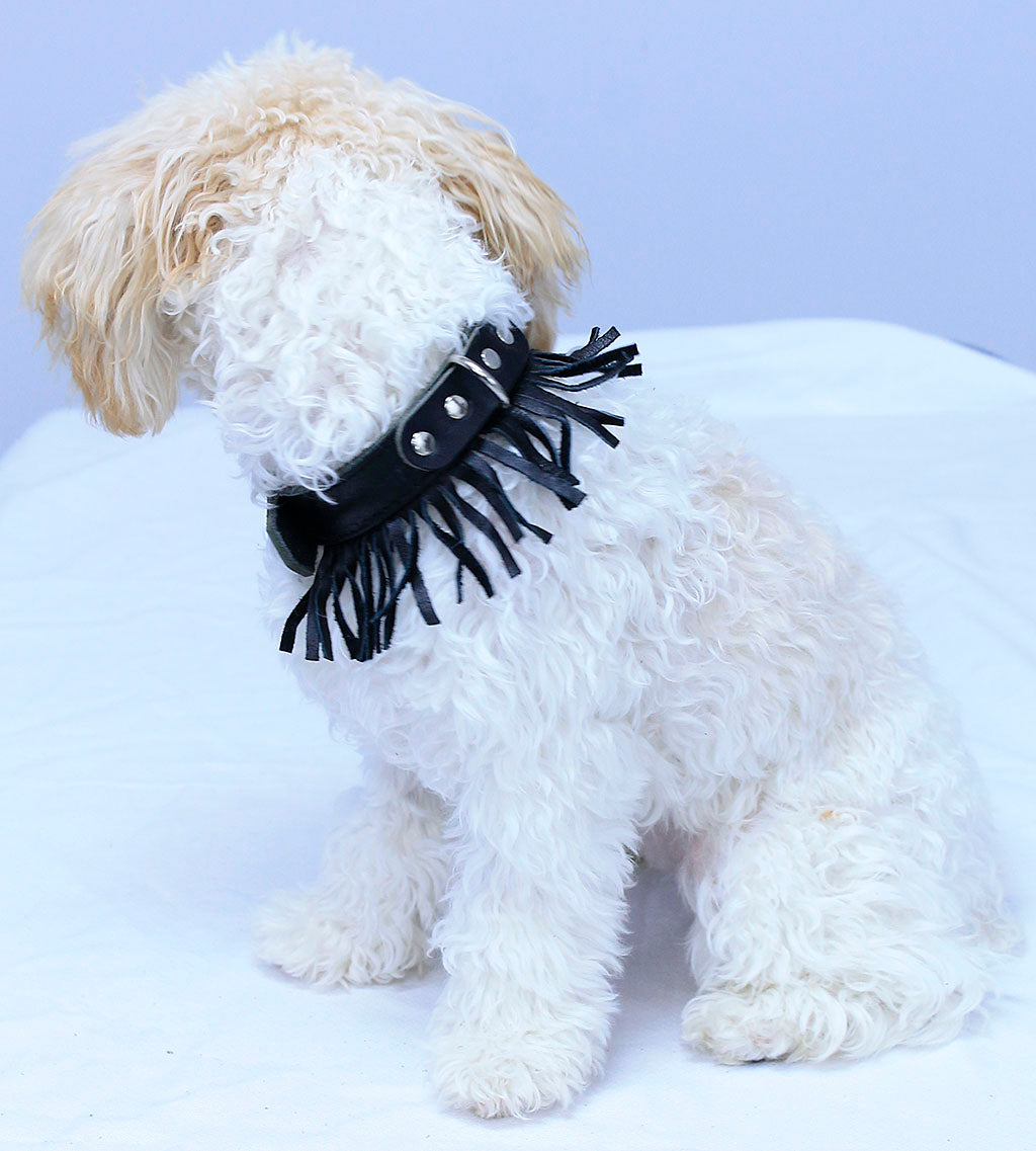 Leather Dog Collar with Fringe #DC24030FK