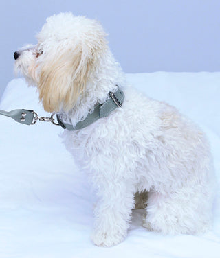 Gray Leather Dog Collar #DC24103GY