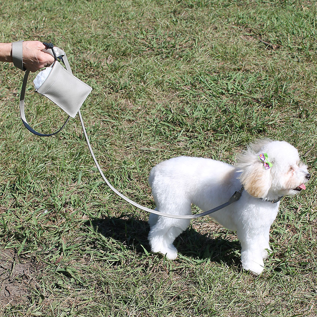 Soft 1" Wide Cowhide Leather 6' Dog Leash #DC2409LEASH