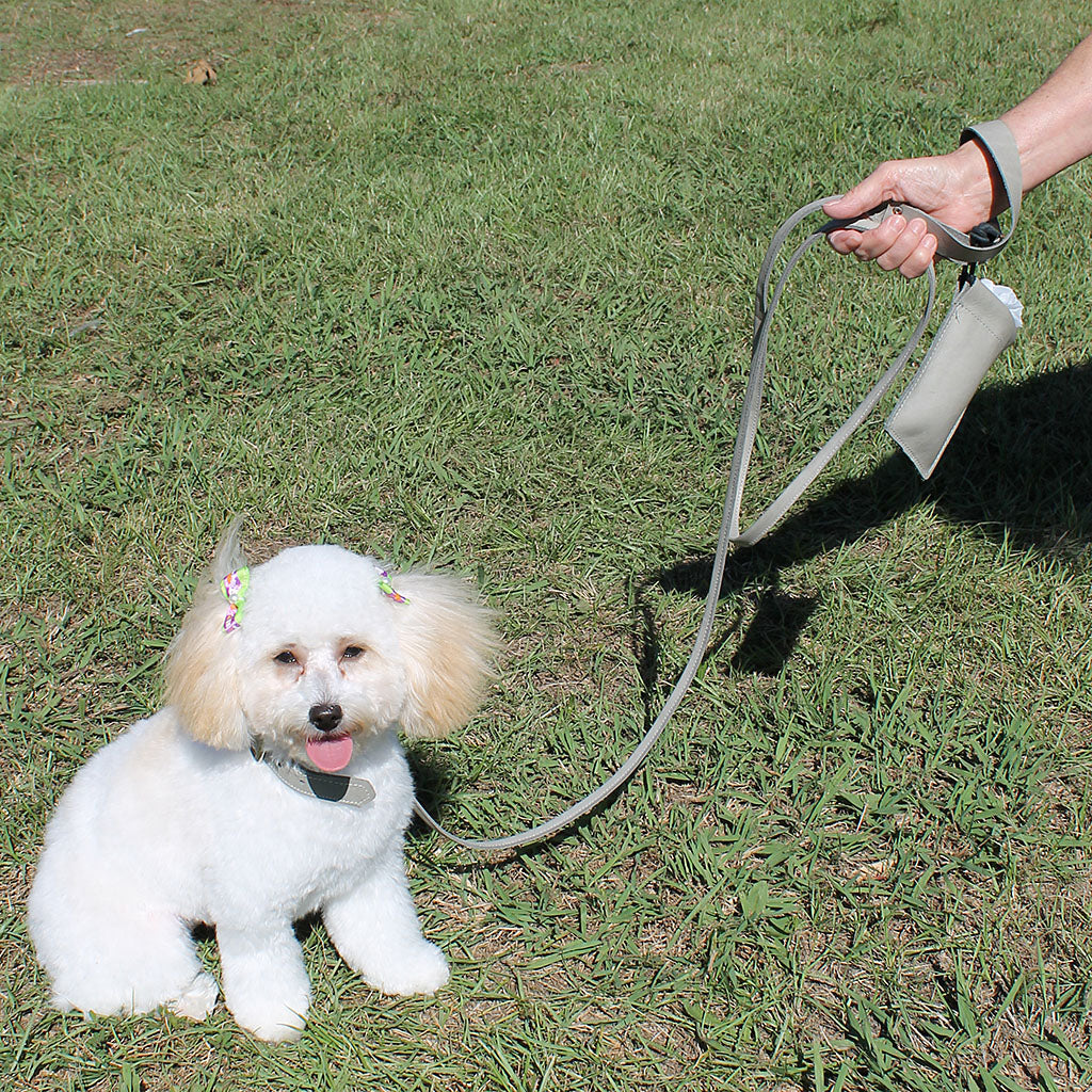 Soft 1" Wide Cowhide Leather 6' Dog Leash #DC2409LEASH