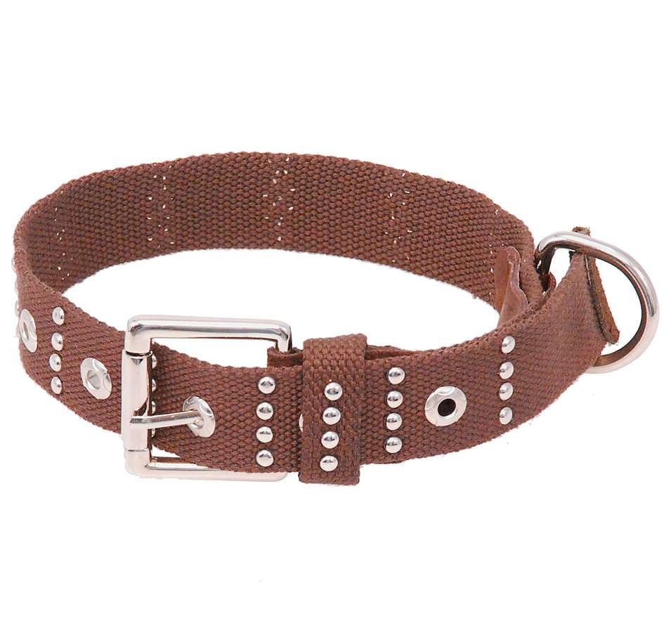 Brown Studded Woven Dog Collar #DCC4NSTUD