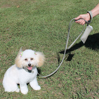 Soft 1’’ Wide Cowhide Leather 6’ Dog Leash #DC2409LEASH
